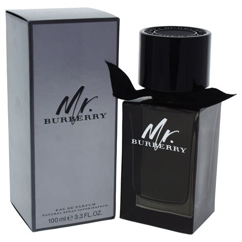 descrizione mr burberry|burberry cologne for men.